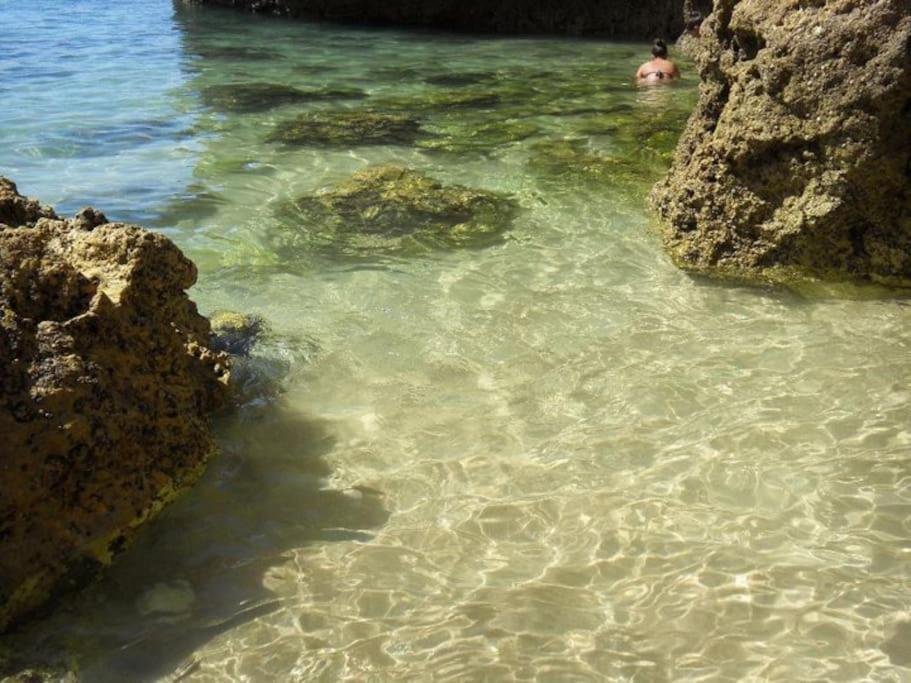 Apartamento Encantador A 100M Da Praia Καρβοέιρο Εξωτερικό φωτογραφία
