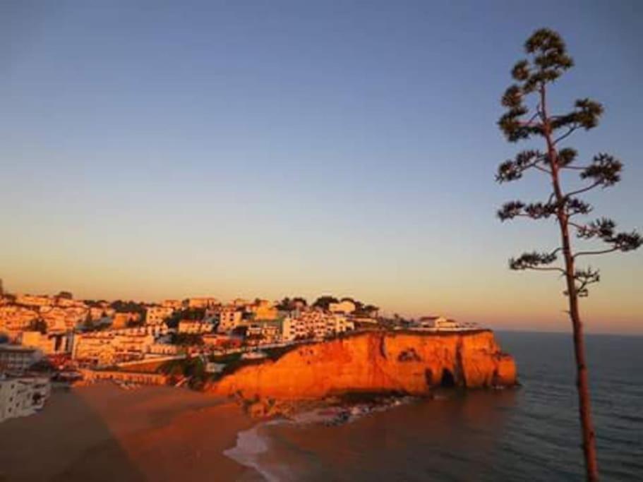 Apartamento Encantador A 100M Da Praia Καρβοέιρο Εξωτερικό φωτογραφία