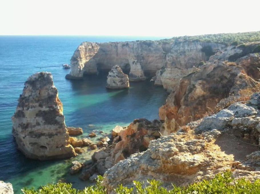 Apartamento Encantador A 100M Da Praia Καρβοέιρο Εξωτερικό φωτογραφία