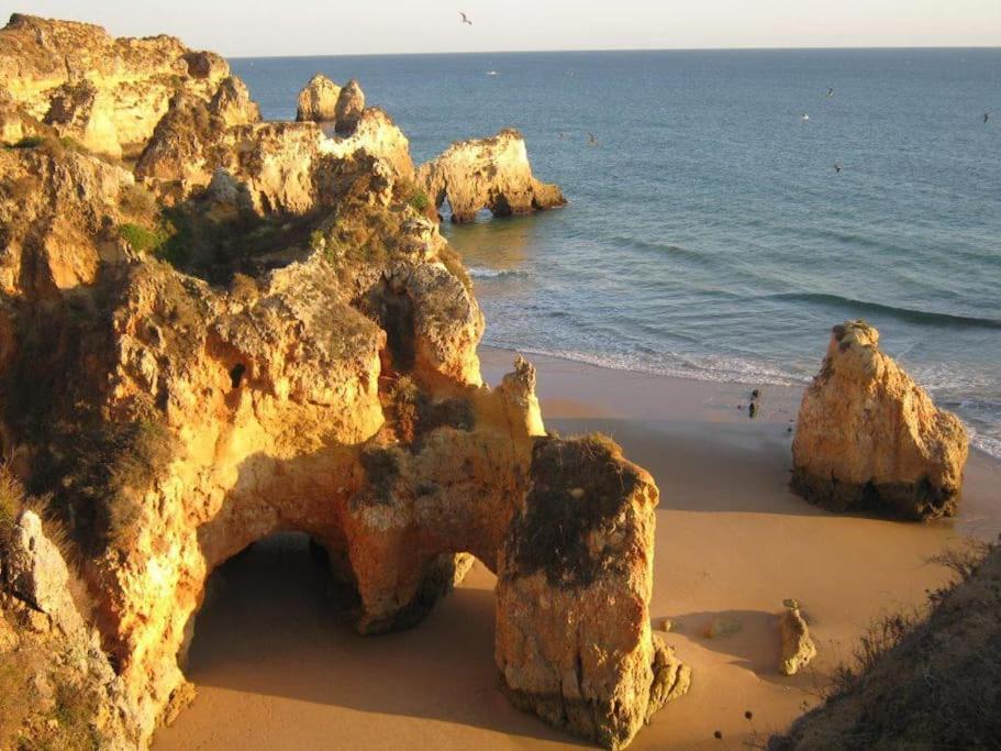 Apartamento Encantador A 100M Da Praia Καρβοέιρο Εξωτερικό φωτογραφία